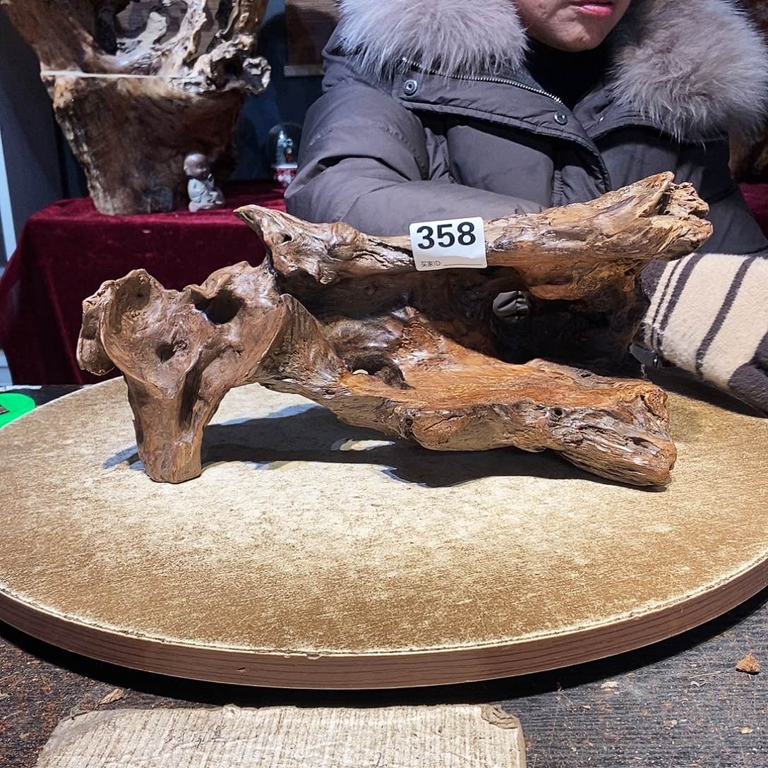 漫***画358。株木随行根艺