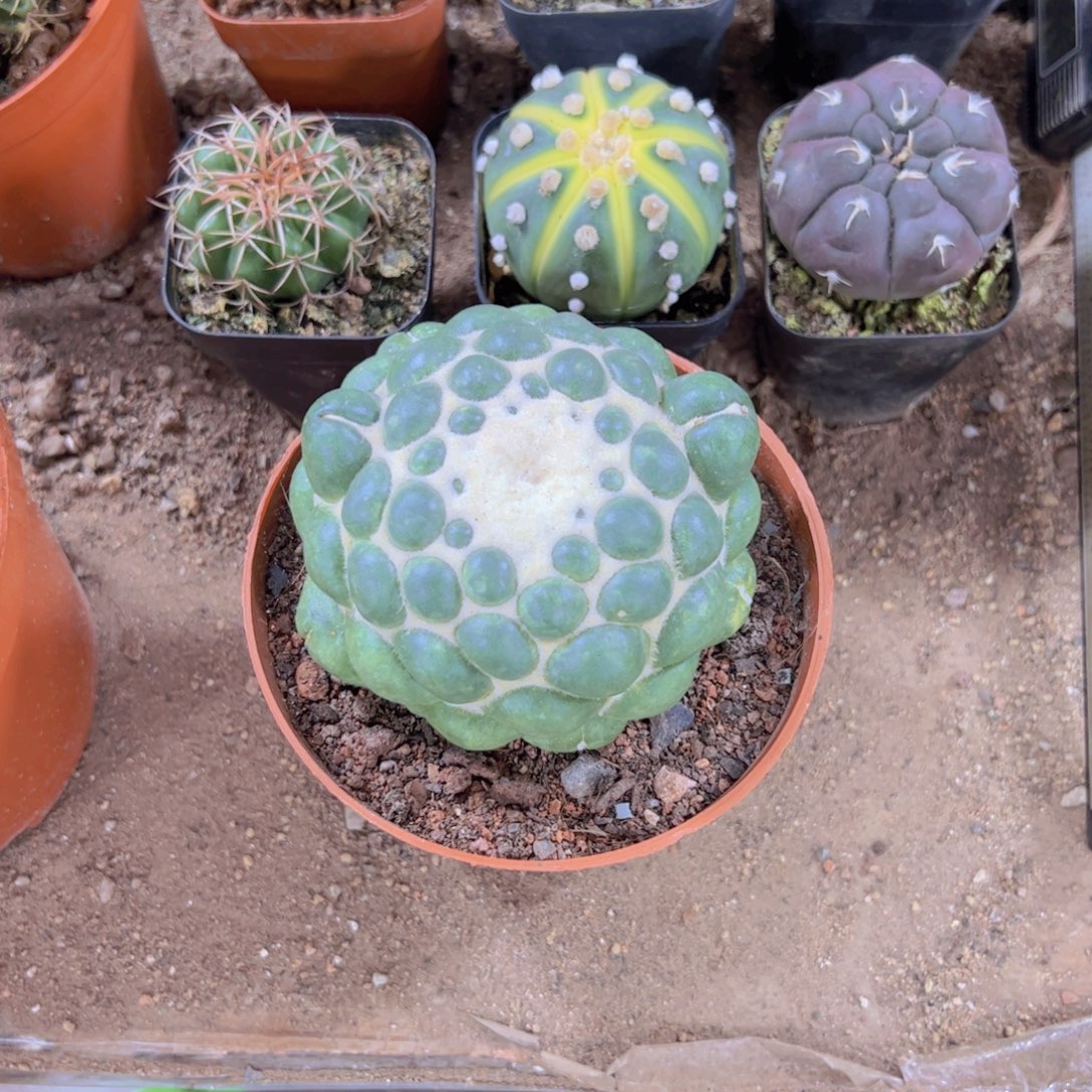 J***m333333333333333333