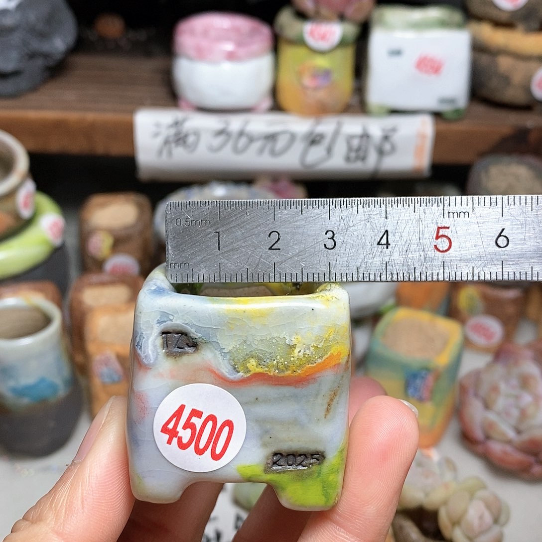 红陶拍5送一个小