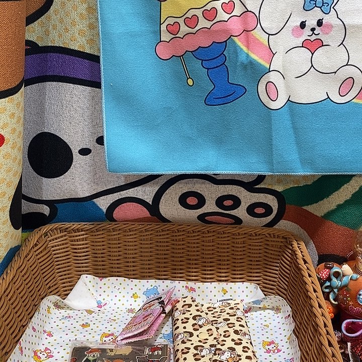 便携款帆布剁手专拍不退不换