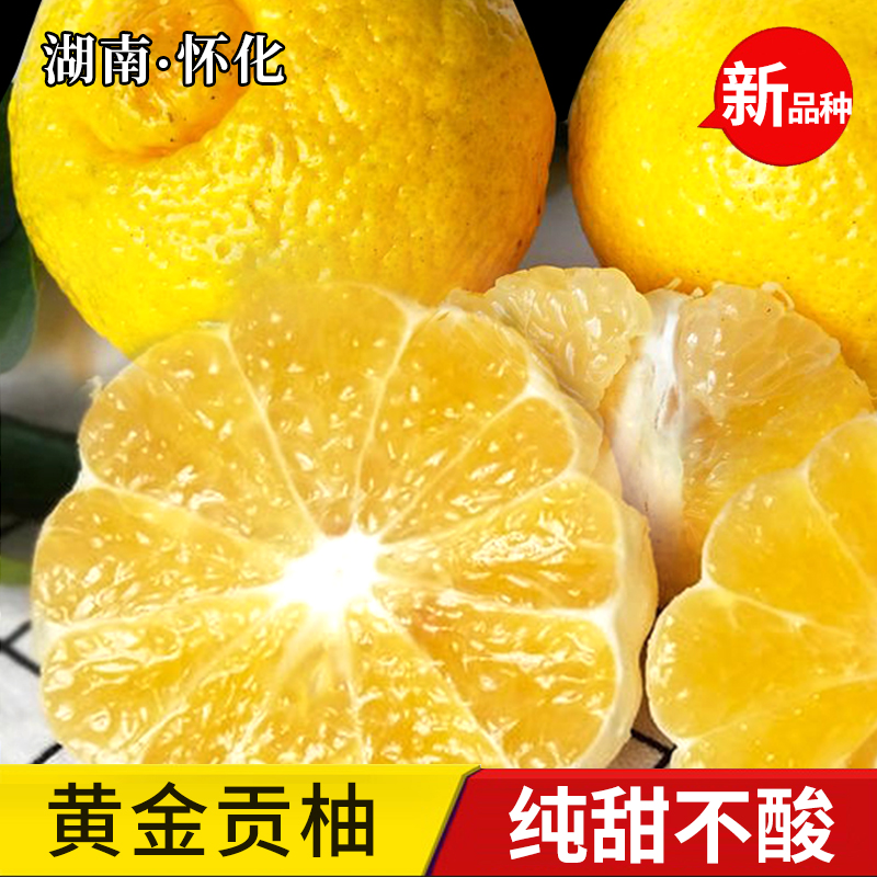 正宗洪江黄金贡柚湖南怀化安江纯甜春香金柚新鲜水果岩垅象山青