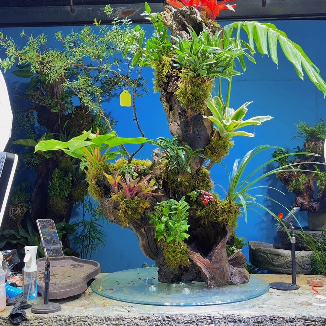 闫***豆完全开放1280私人定制