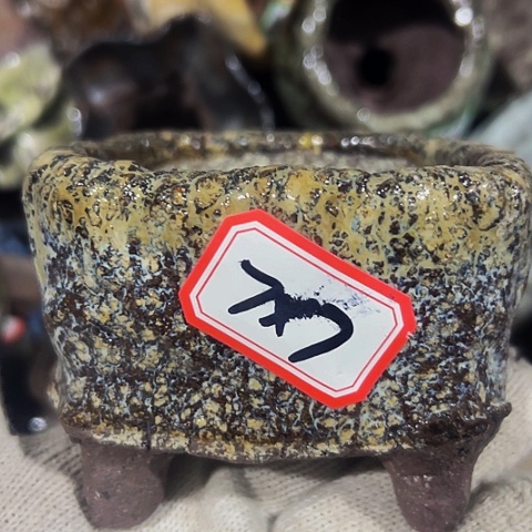 红陶粗陶花盆手工