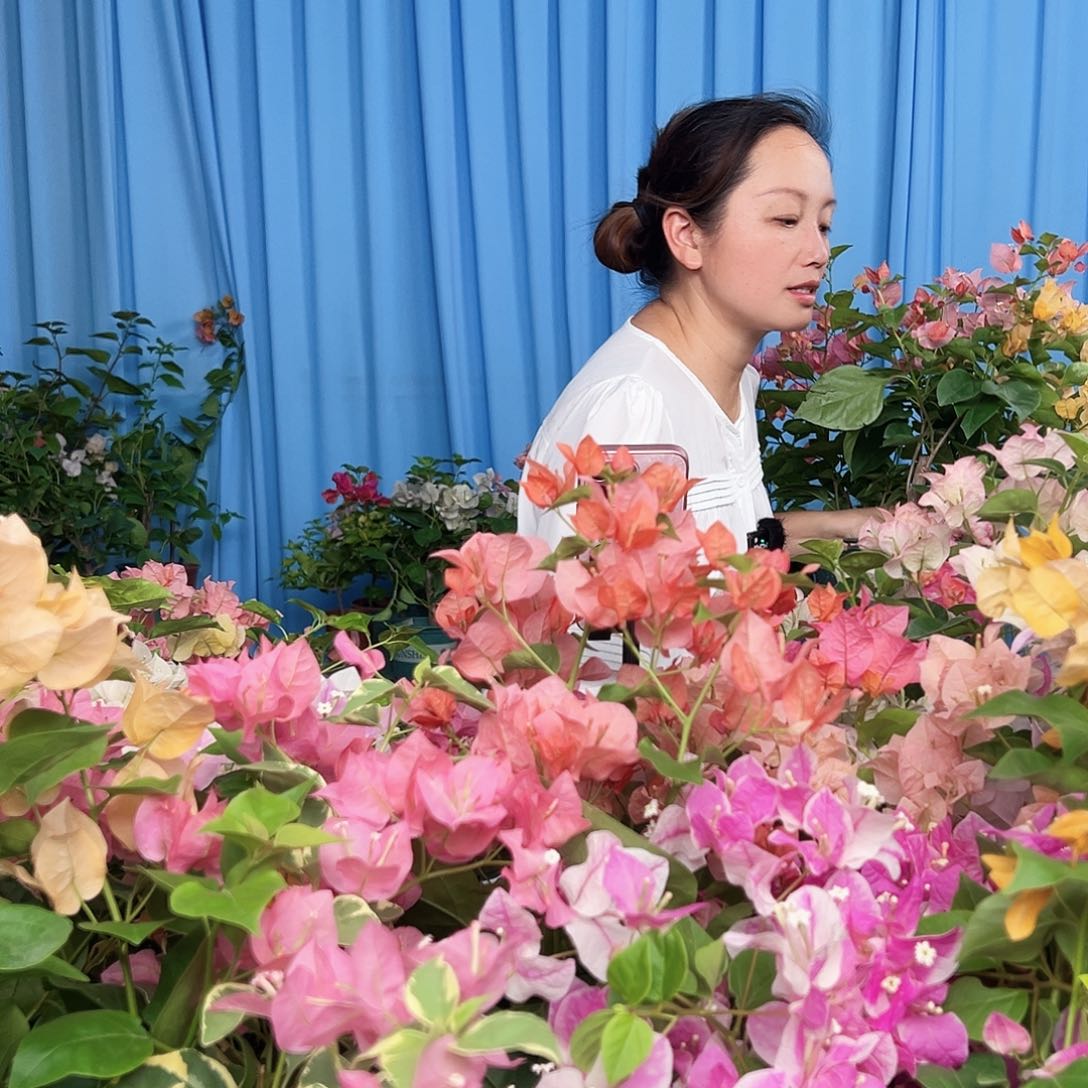 当前无花栽培后可以开花随机掌中宝一棵