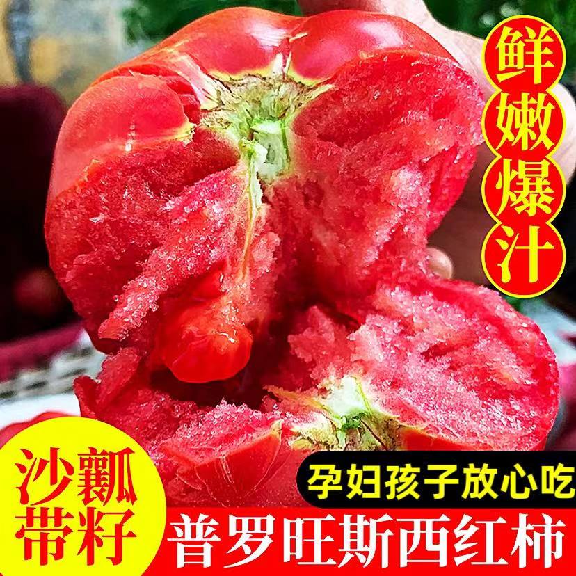 正宗云南普罗旺斯水果西红柿沙瓤番茄新鲜采摘自然成熟应季水果甜