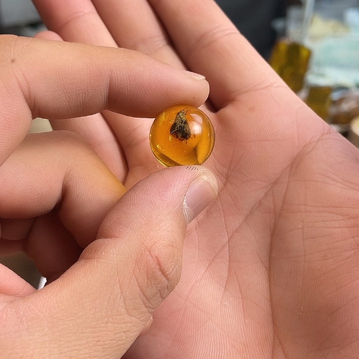 夨***東琥珀未镶嵌裸石天然琥珀蜜蜡