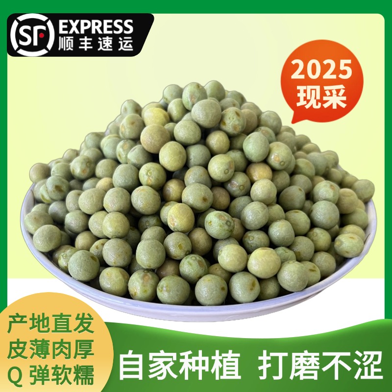 【顺丰发货】 2025新鲜12-14毫米大号高品质鸡头米鸡头籽芡实