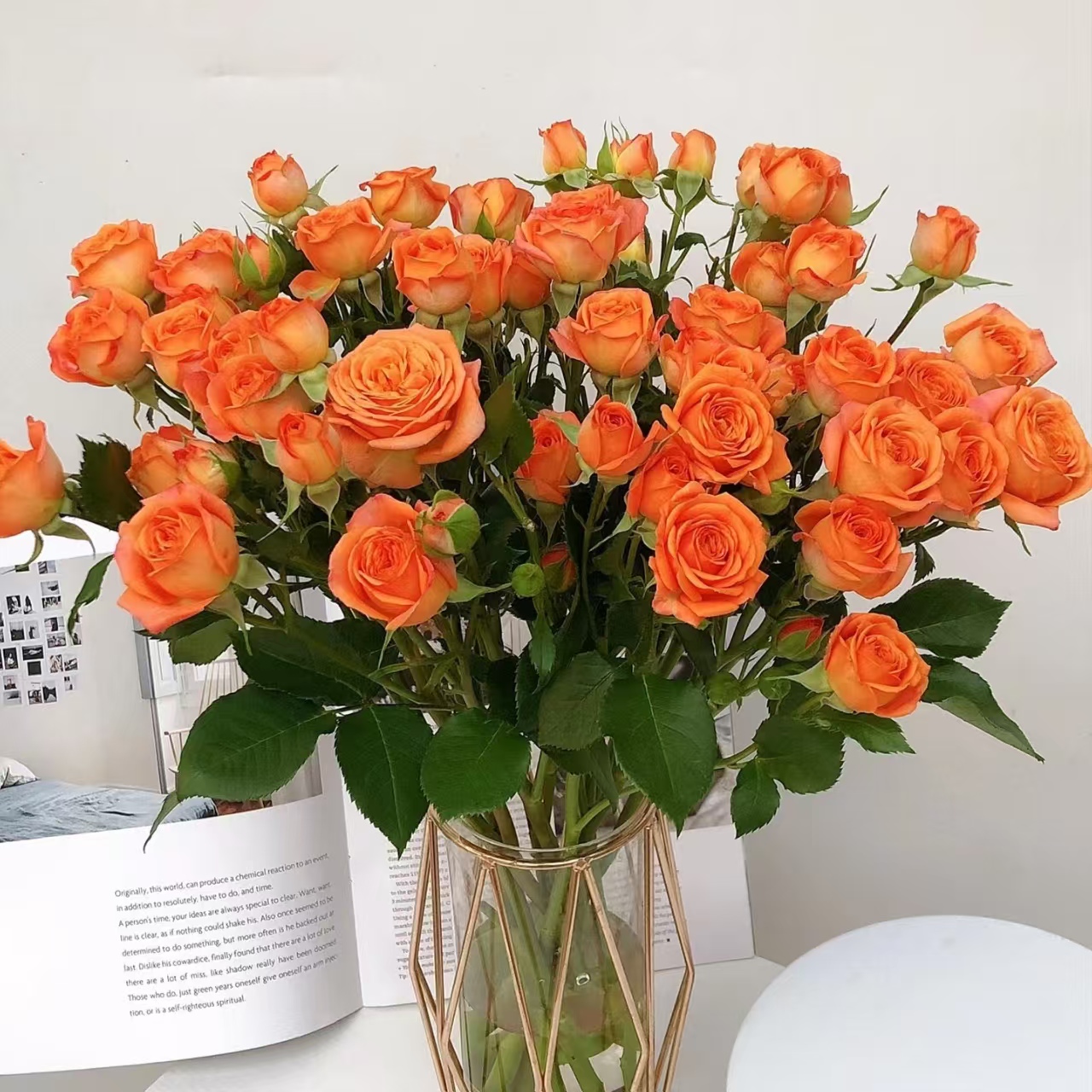 【2单顺丰包邮】多头泡泡云南鲜花基地直发（发货后不支持退款）