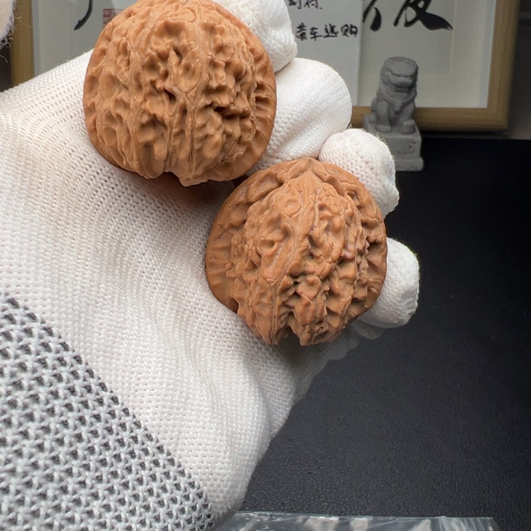 练手对！34尺角白狮子板正C224