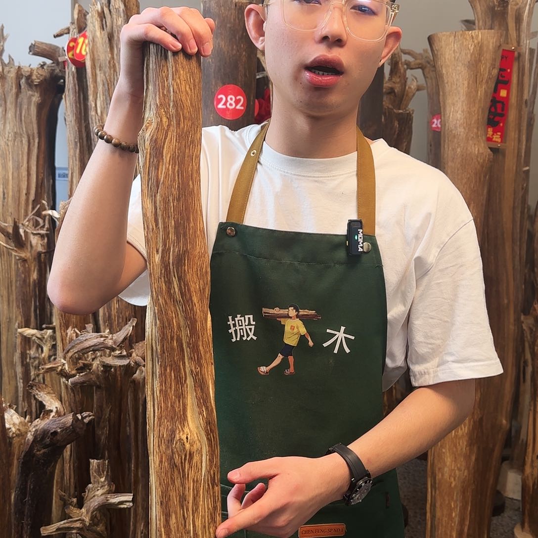 沉香摆件天然沉香原木摆件➕底座