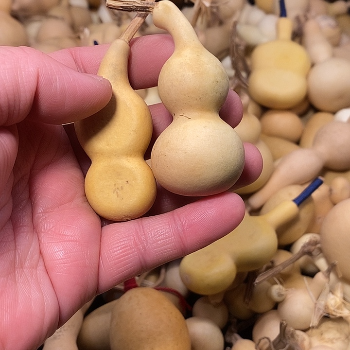 爱***谁精品葫芦手把葫芦31