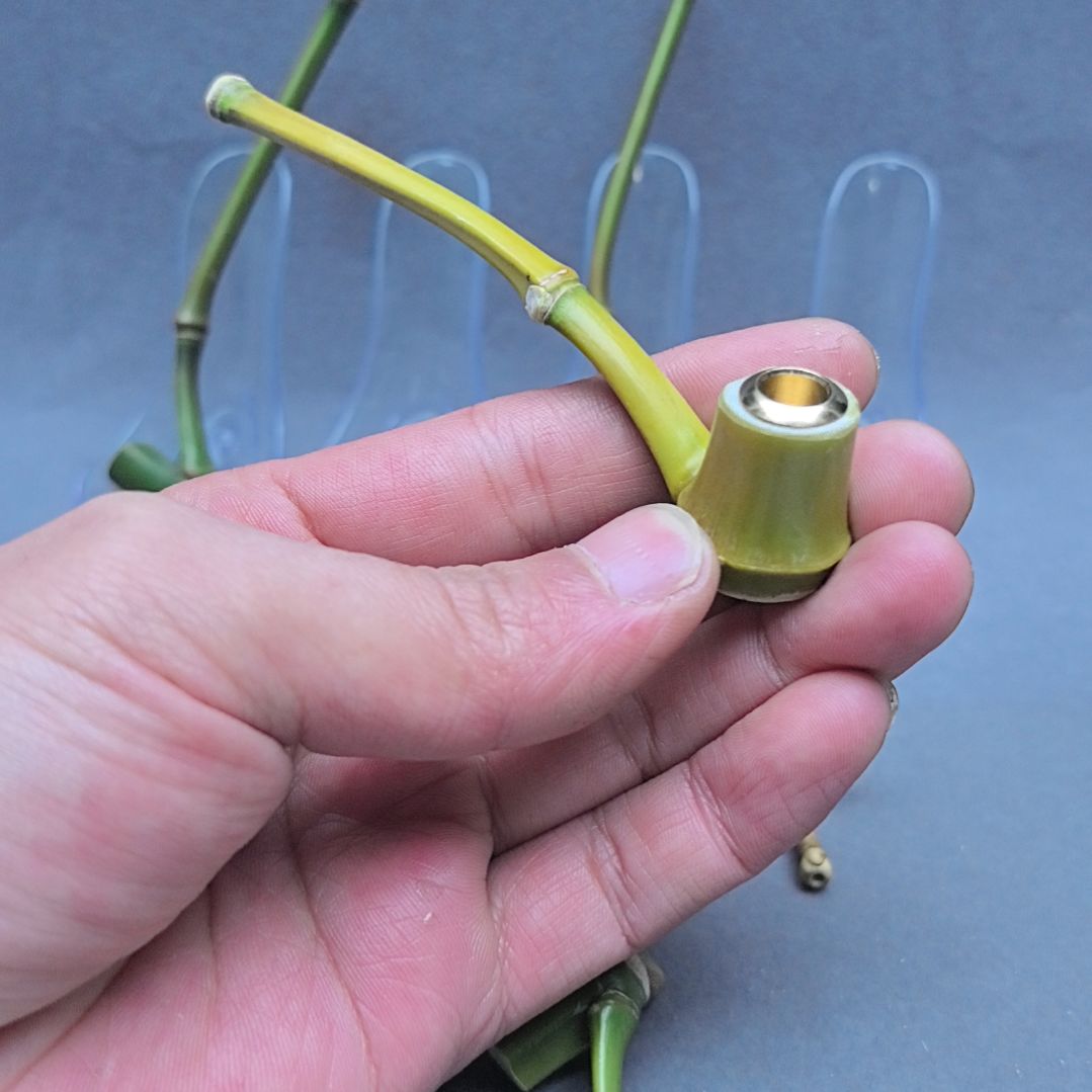 ぴ****小竹子烟斗，粗中细可以用