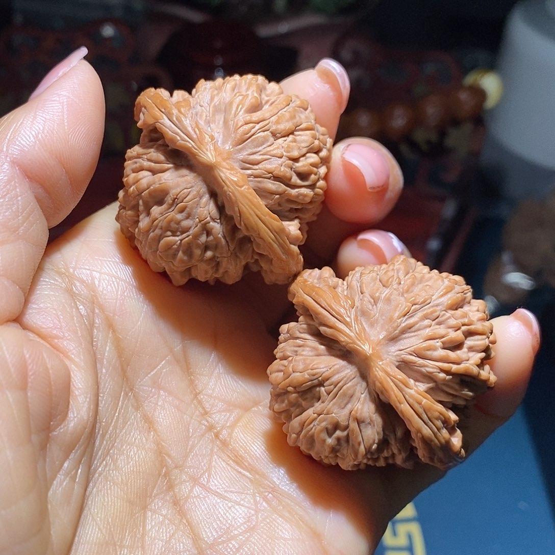 文玩核桃把件41楼子