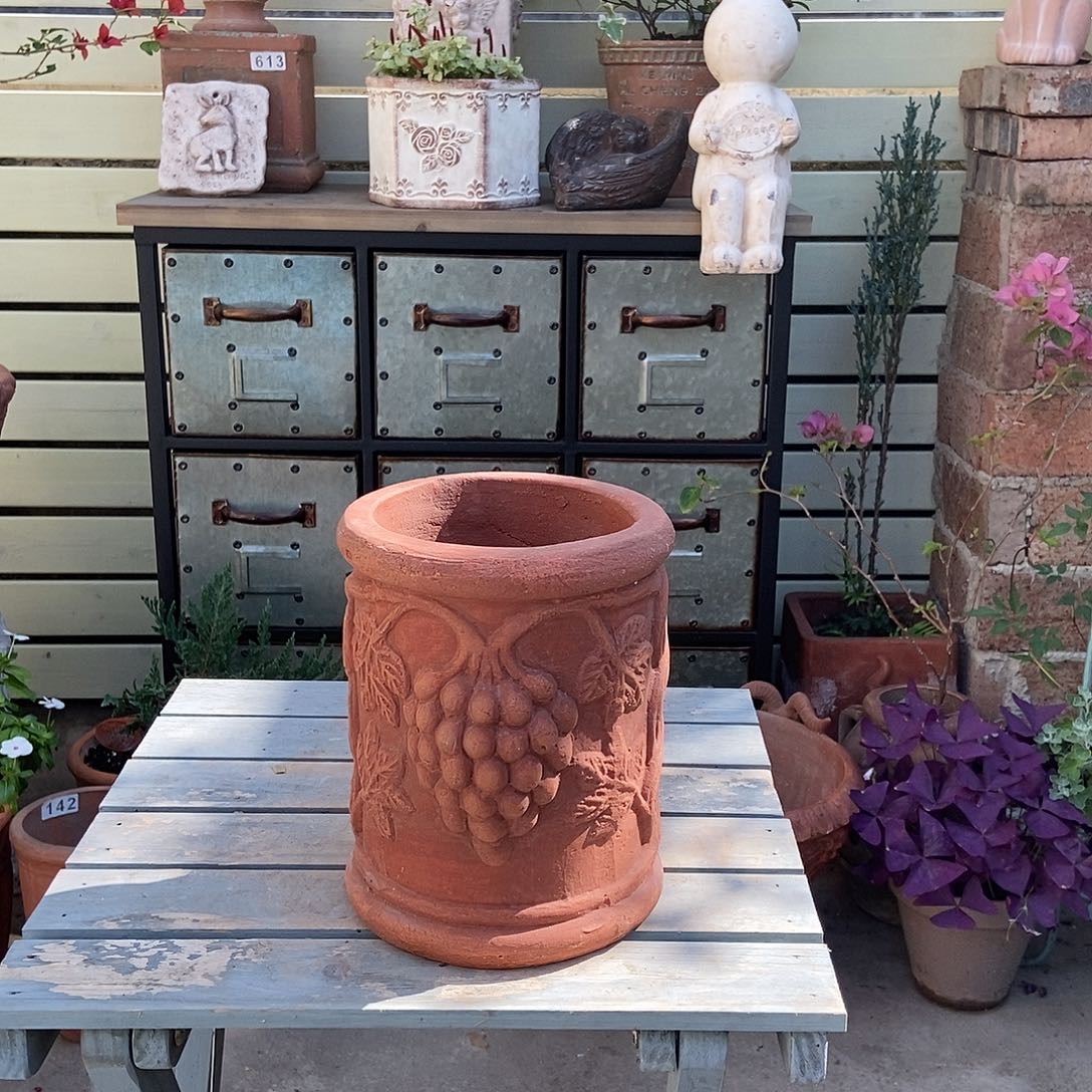 直筒小葡萄瑕疵特价