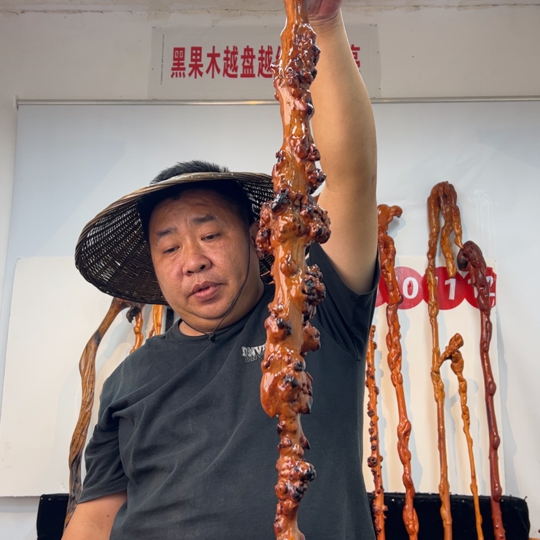 ღ***༻黑果木其他黑果木735