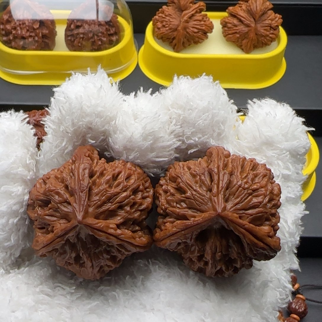 把件文玩核桃水龙纹奔全44