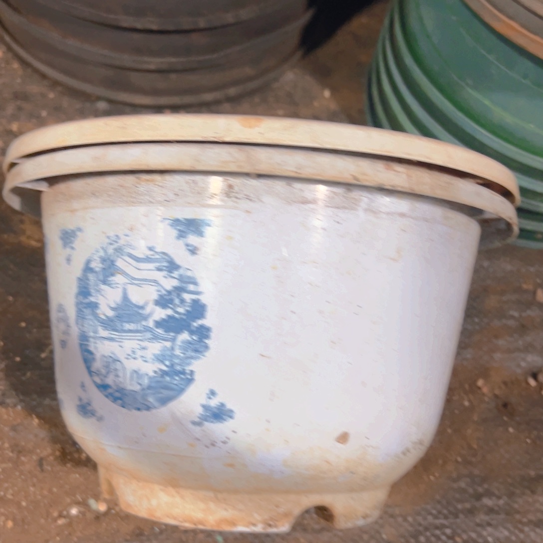 富贵花开盆21口径13.5高 15个