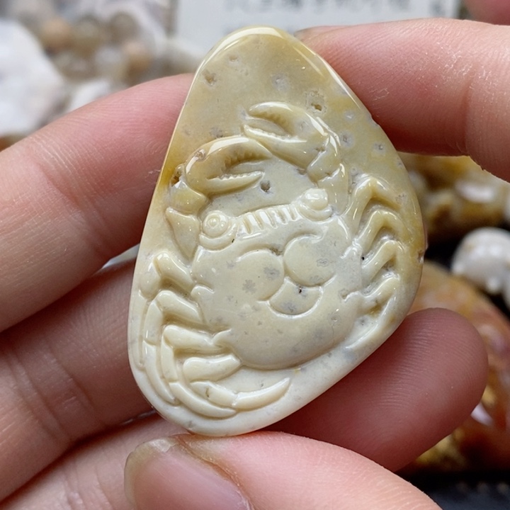 硅化珊瑚（珊瑚玉）颈饰未镶嵌