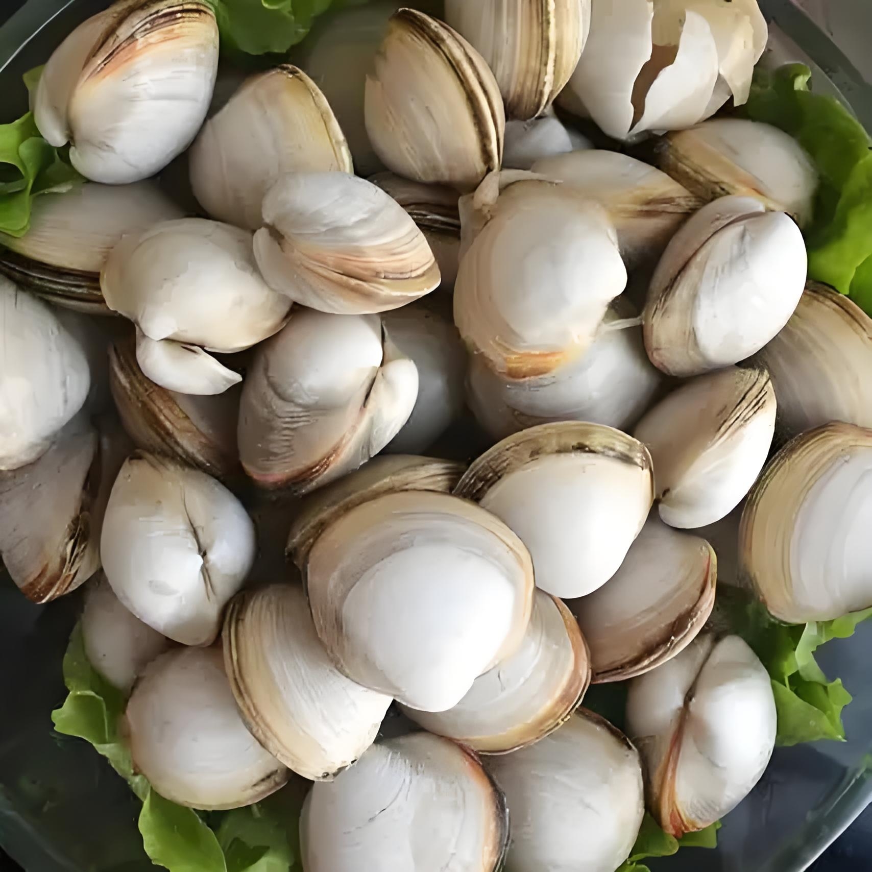 （港威海鲜）无沙白蚬子3斤