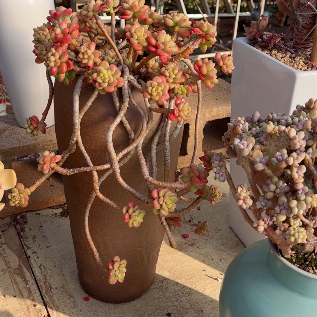 你是否还记得你曾经说