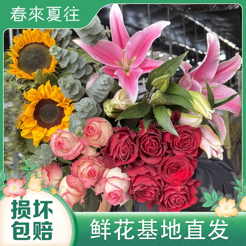 【红玫瑰粉百合向日葵组合】云南基地直发鲜切花 家庭插花水养