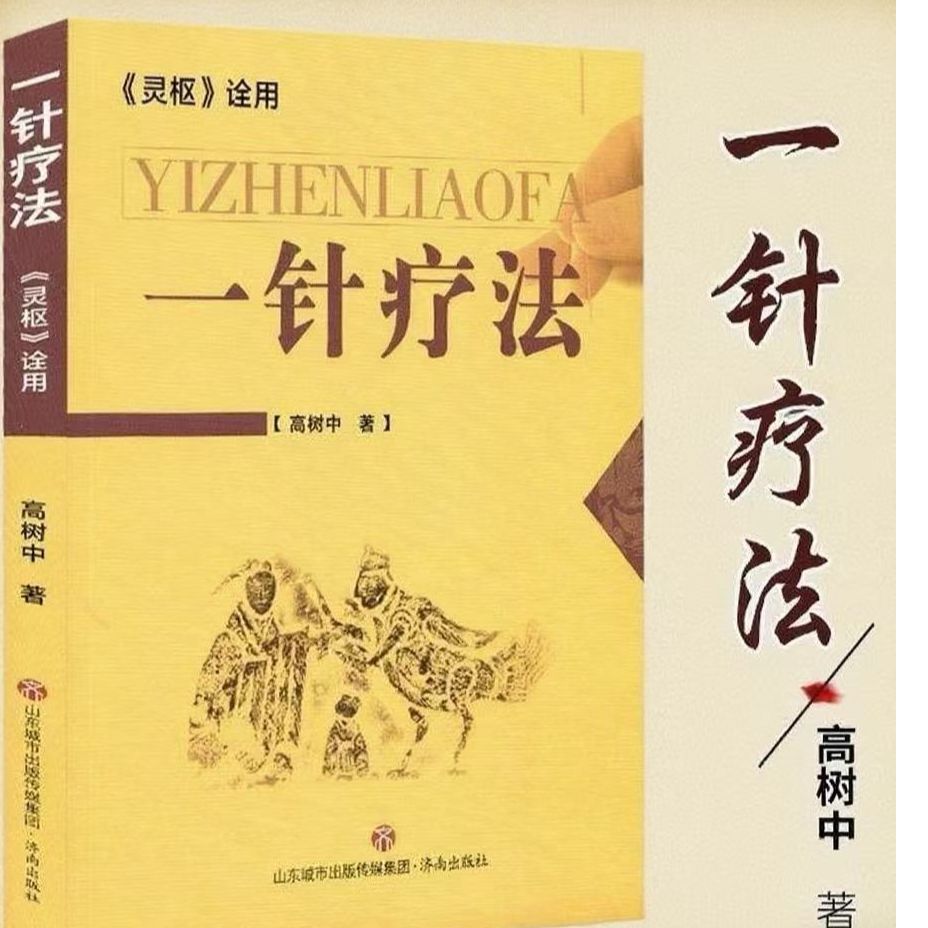 高树中一针疗法中医针灸灵枢诠用单穴位治疗中医入门大全中国书籍