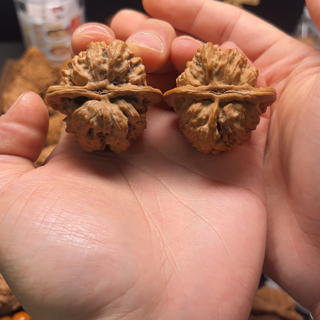 手串/手链核桃原树毕业级兴隆蚂蚁沟40