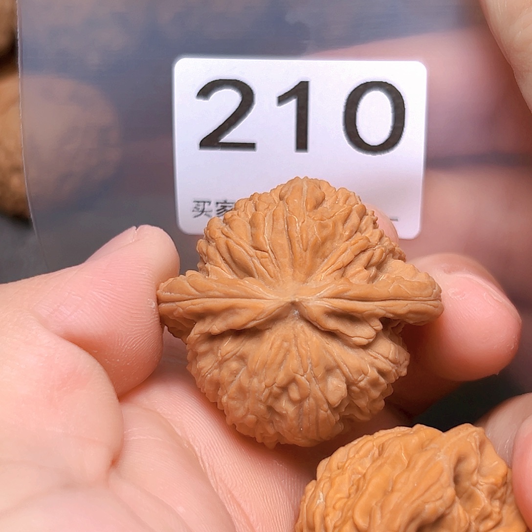 文玩核桃吊坠40白狮子