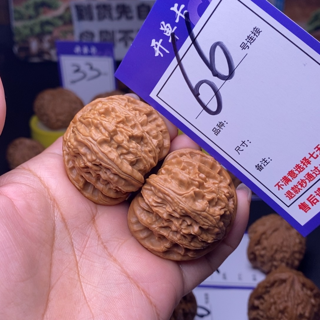 文玩核桃吊坠66号链接白狮子4.0尺