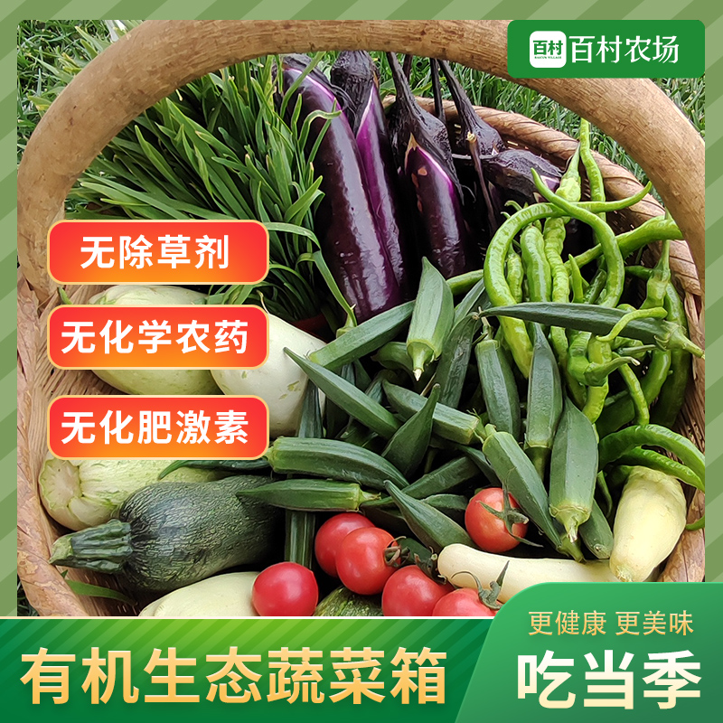 【百村农场】自产有机蔬菜箱天然种植时令蔬菜单次蔬菜包同城配送10斤新鲜