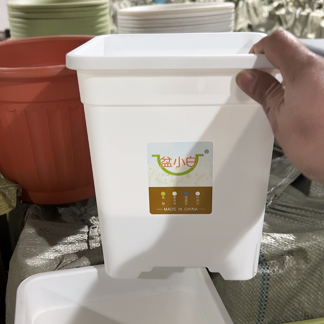 树脂方2号白5个无托