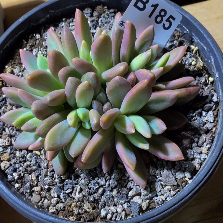 你就在家里待不下来