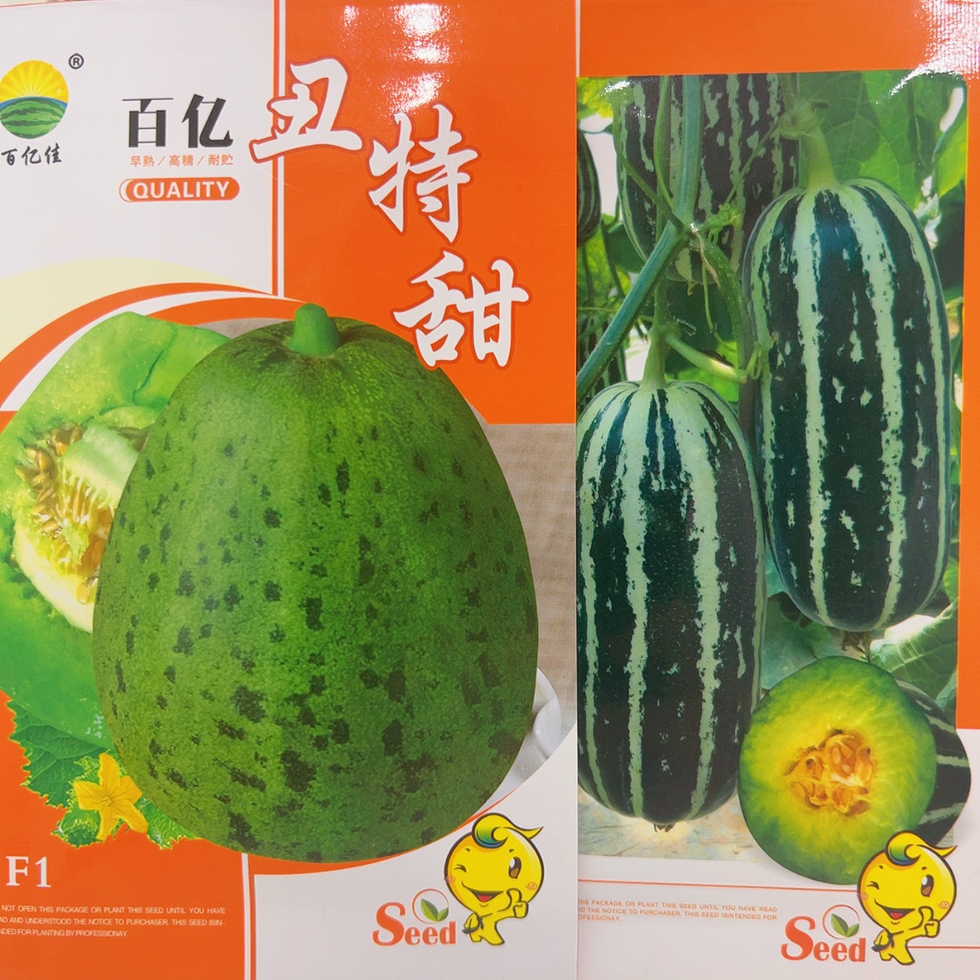 丑特甜，佳甜就九号甜瓜种子