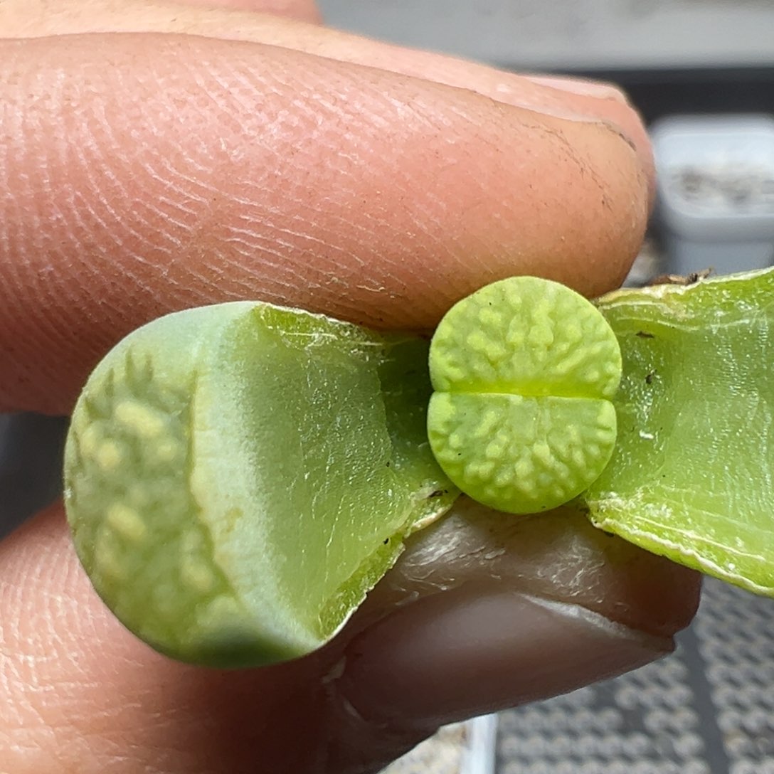 【闪购商品】202……