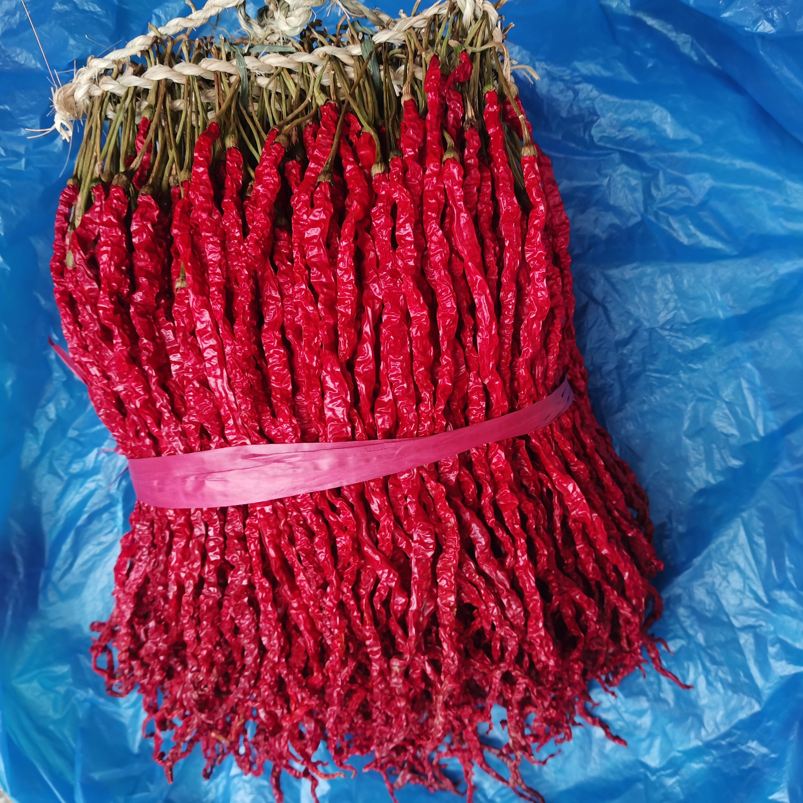 贵州毕节大方皱椒鸡爪辣种子辣椒拍半个送10个二荆条辣椒