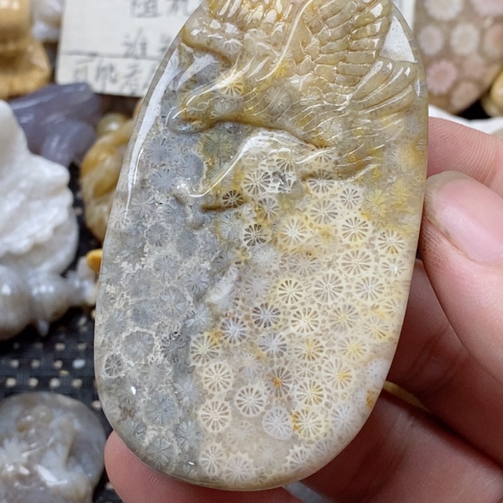 颈饰未镶嵌硅化珊瑚（珊瑚玉）