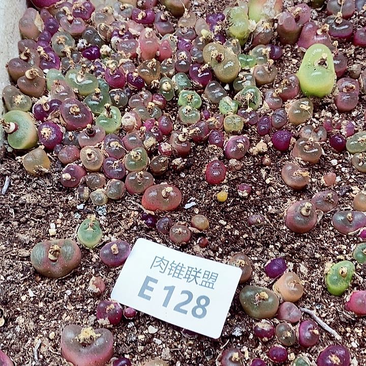 128呃呃呃呃呃呃呃呃呃呃