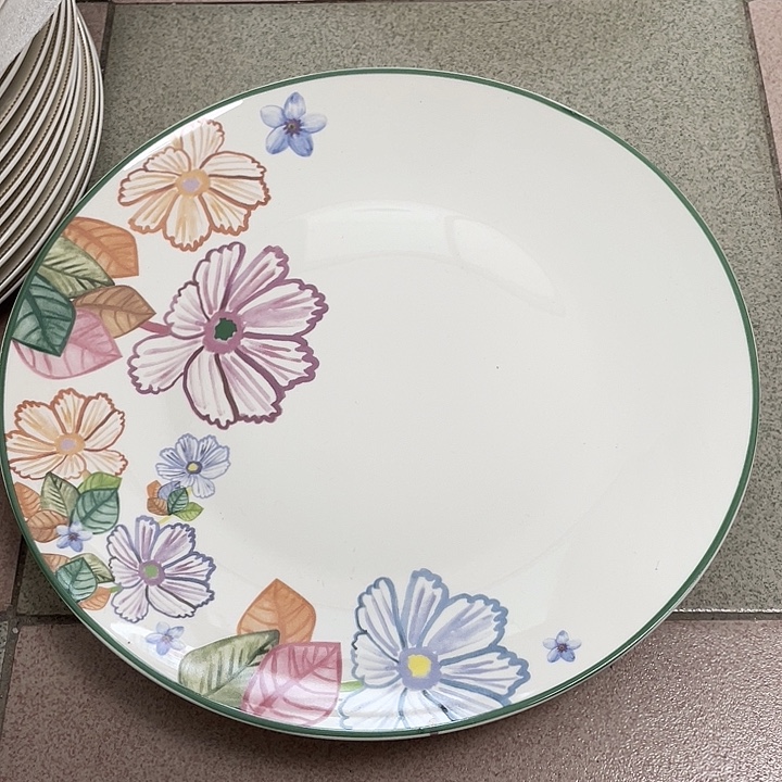 新骨瓷10.5寸平盘2个微瑕完美主义者慎拍