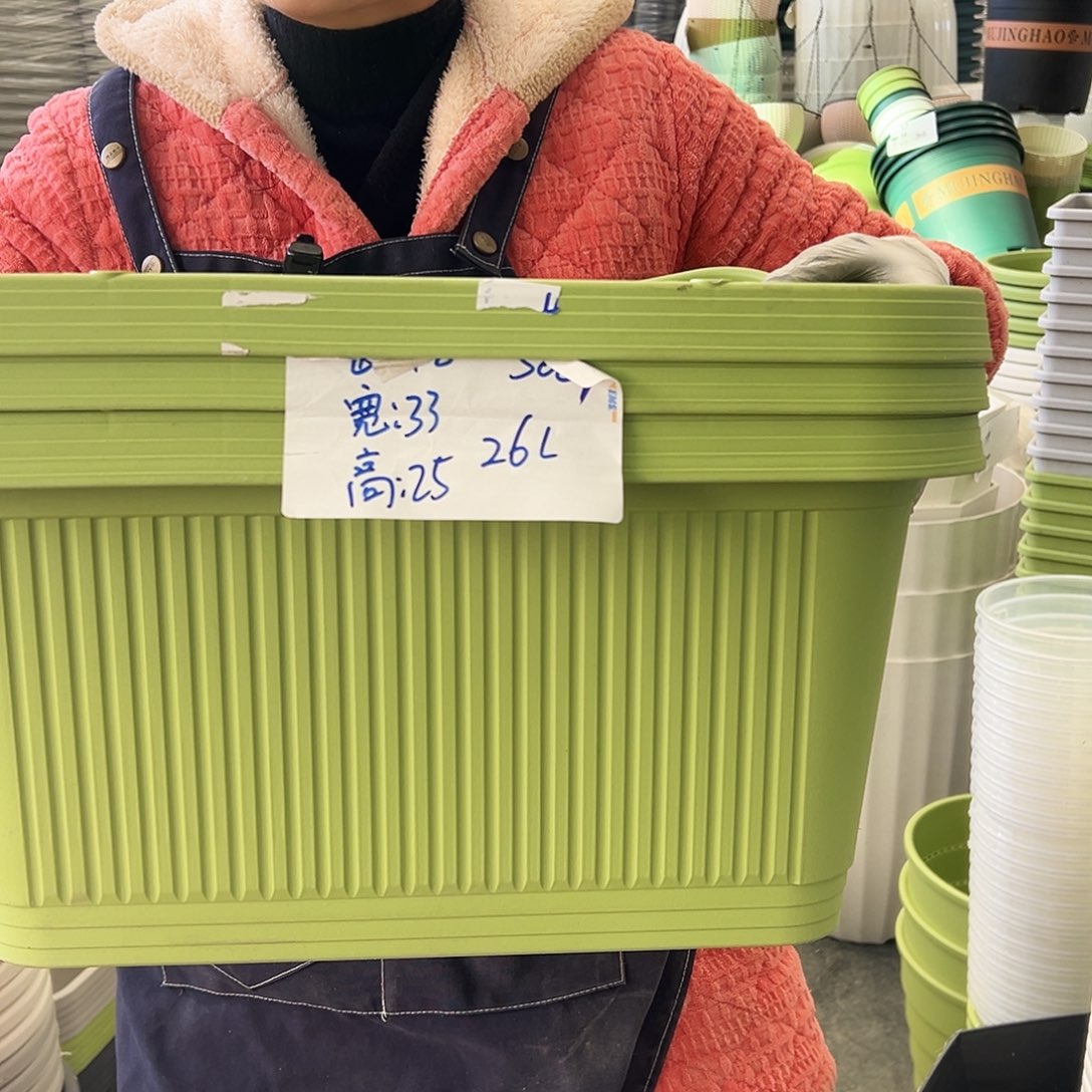 菜盆500#果绿色3个无托