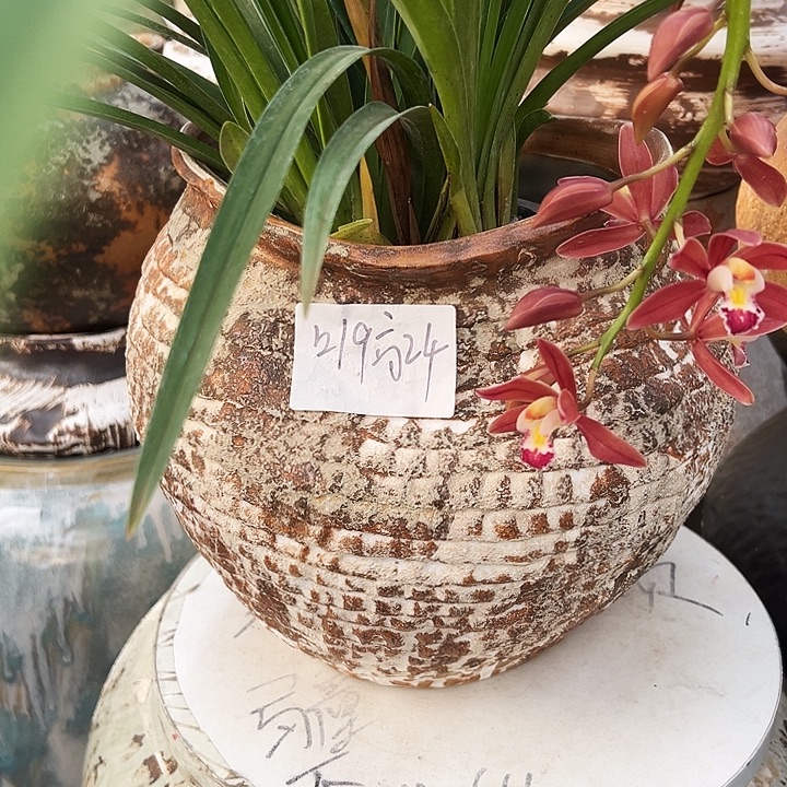 景德镇精品花盆栽适合盆栽