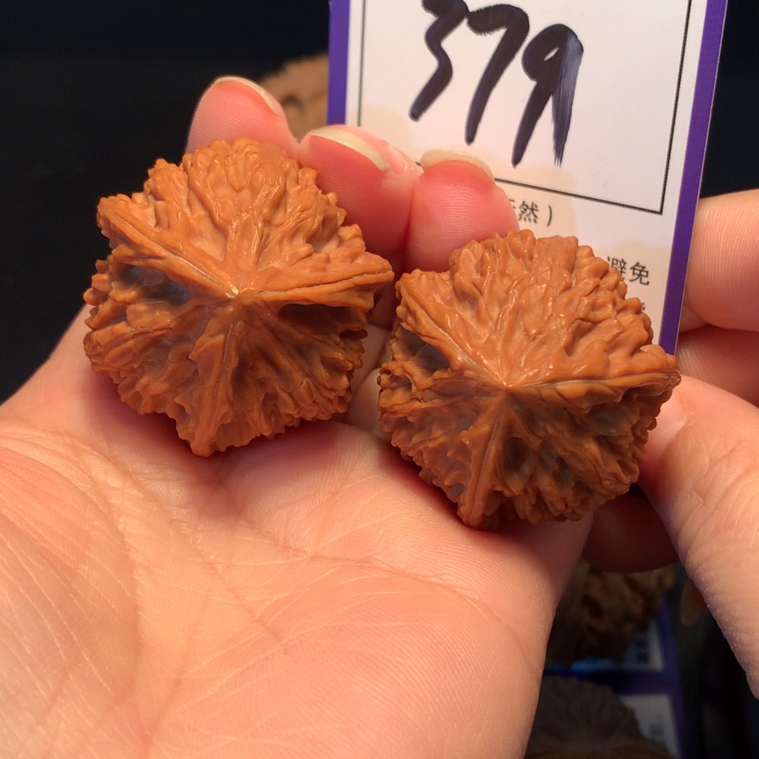 核桃379文山三棱3.6全品