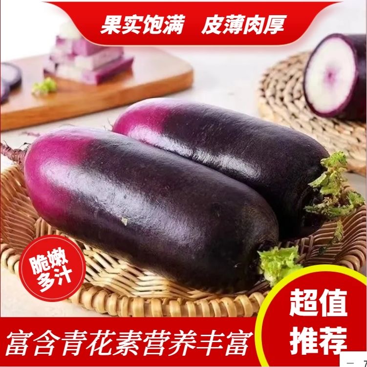 正宗冰激凌水果萝卜新鲜生吃甜脆多汁山东潍坊产地现拔