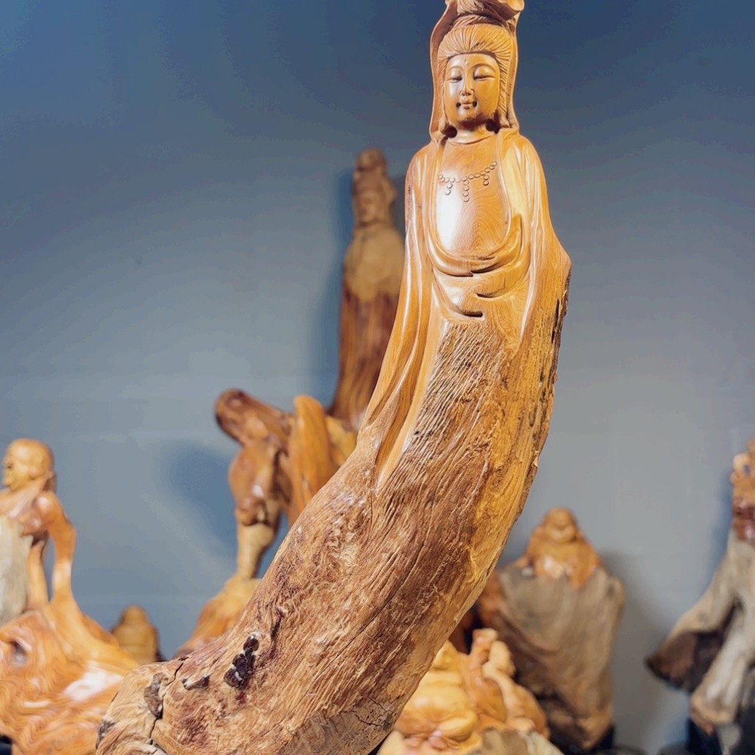 柏木（崖柏）友*·崖柏88888888