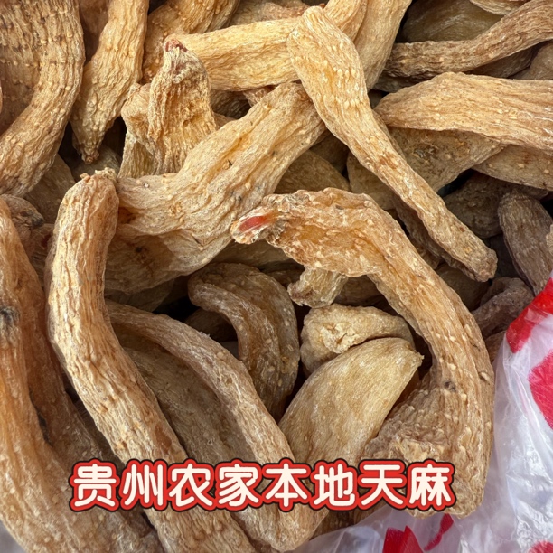 贵州深山 野山高山 挖采天麻 可煲汤泡水食用干货