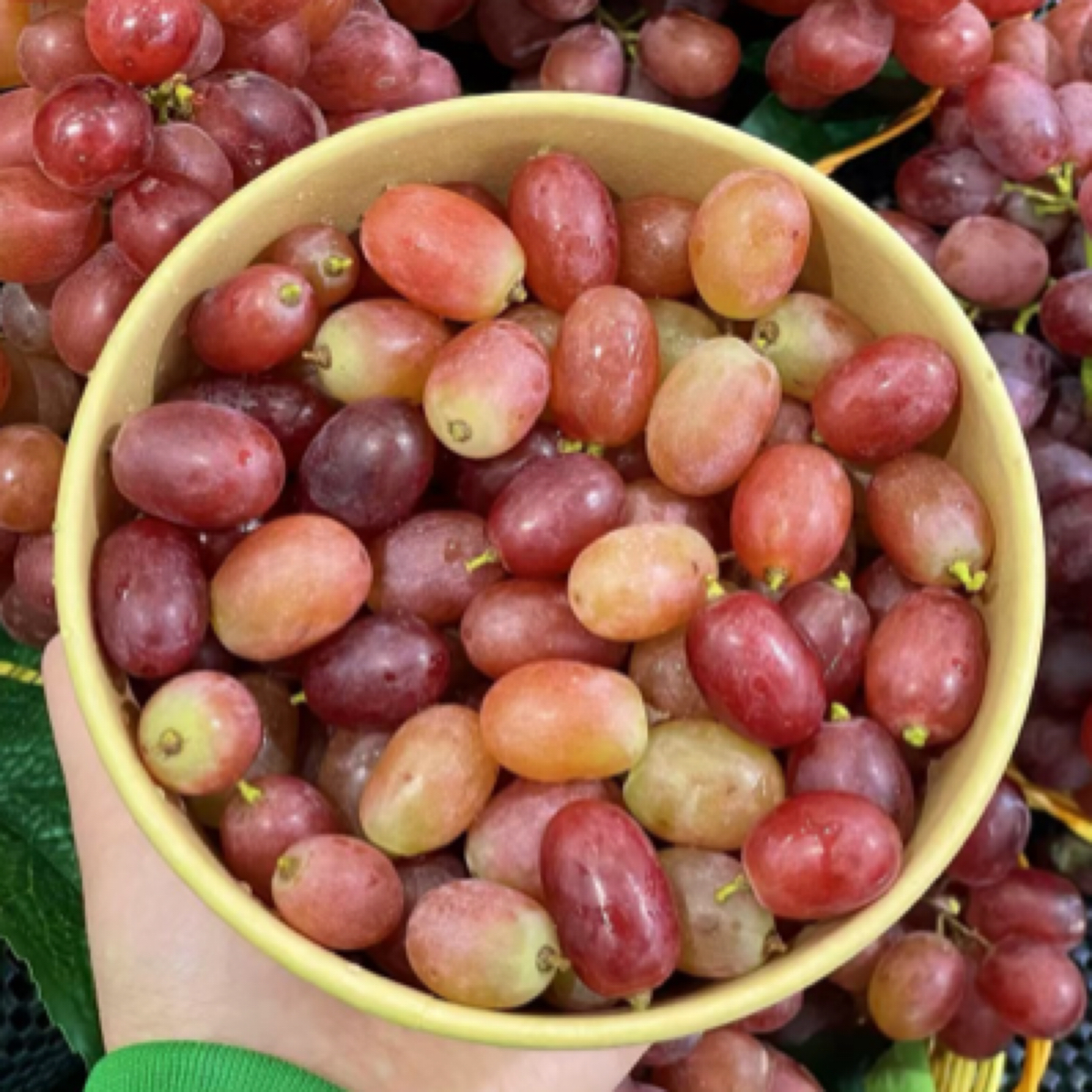 【切盒】无籽小红提子500g云南省