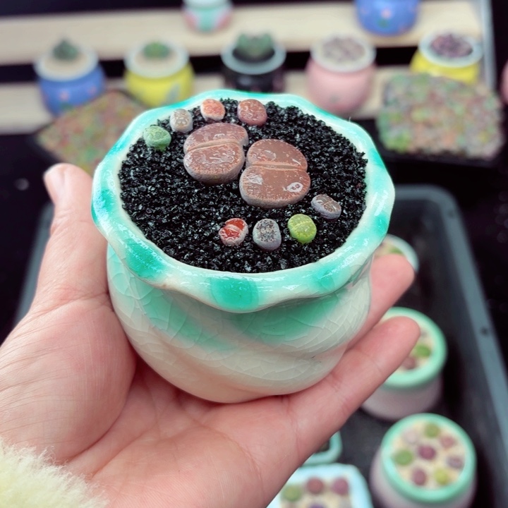 526零下地区记得拍保温箱