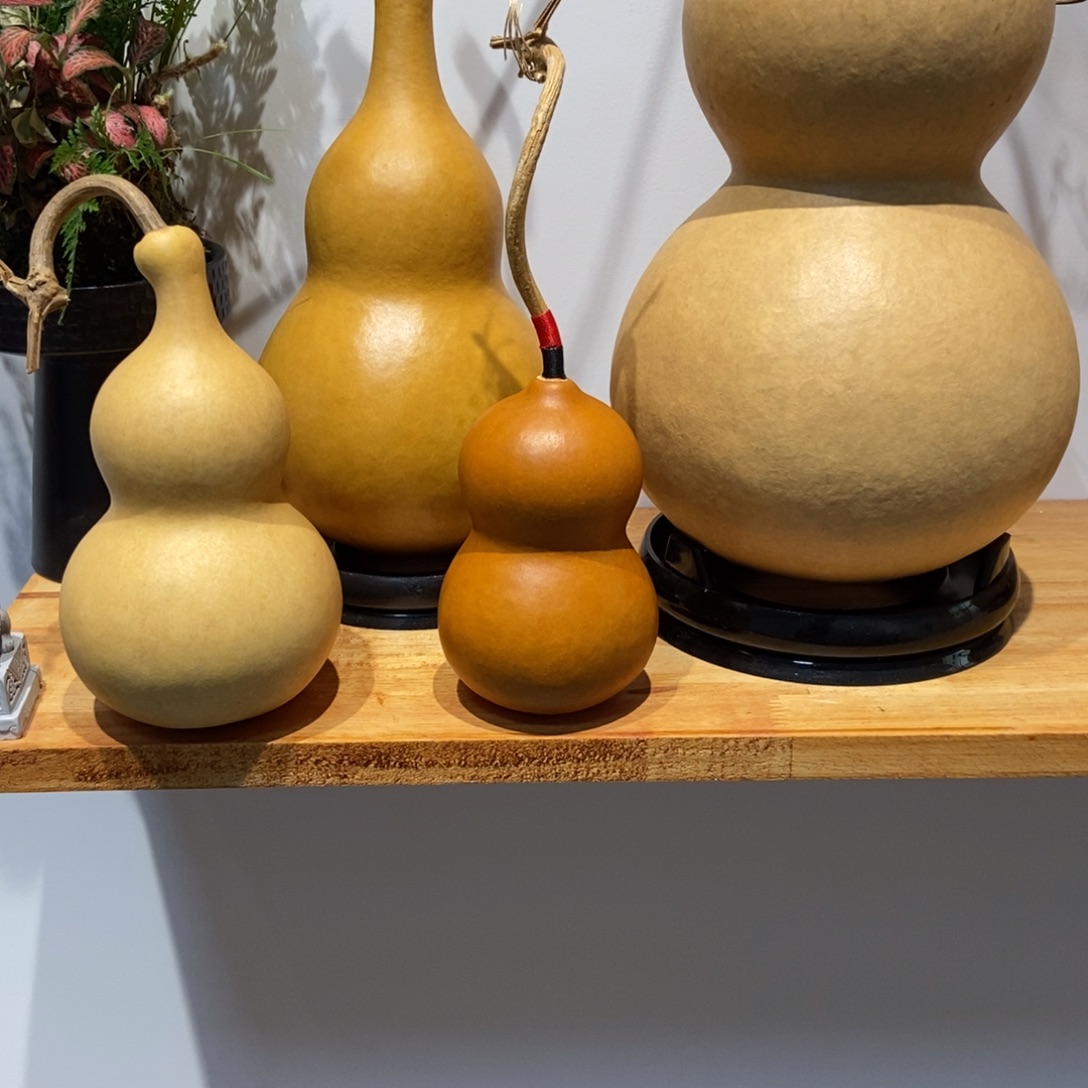 L***⁶哈哈哈哈哈哈哈哈哈