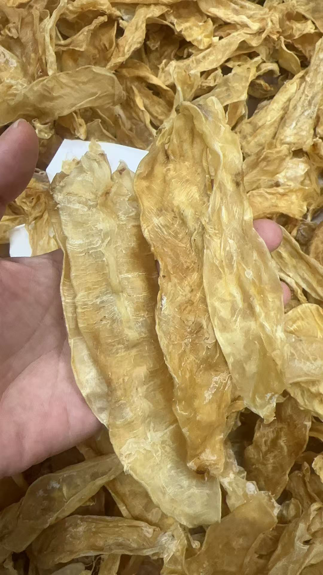 捡漏款约230头佐罗胶