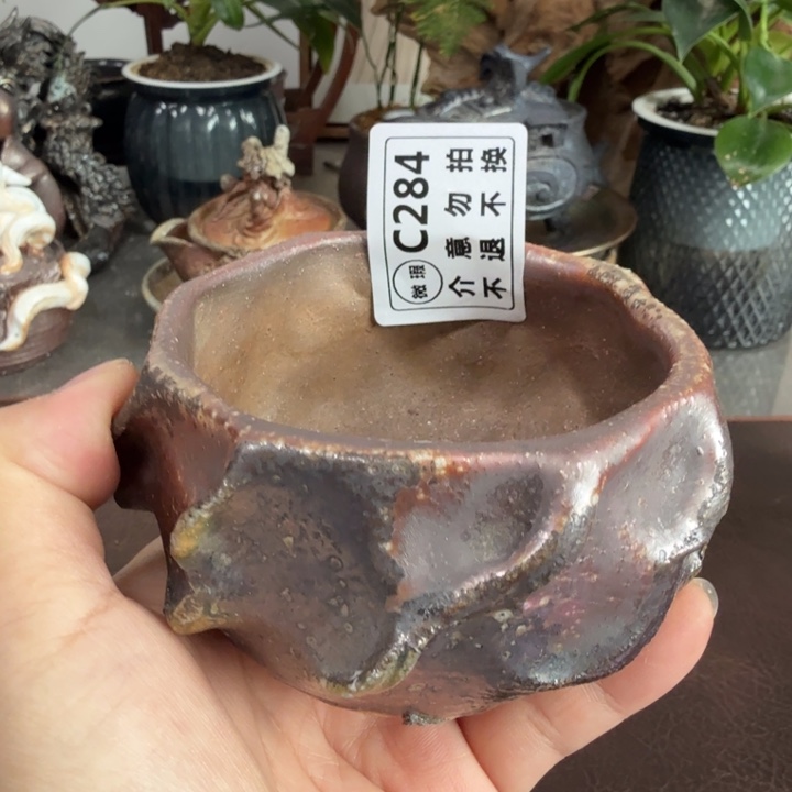 陶盘柴烧福利新品多多