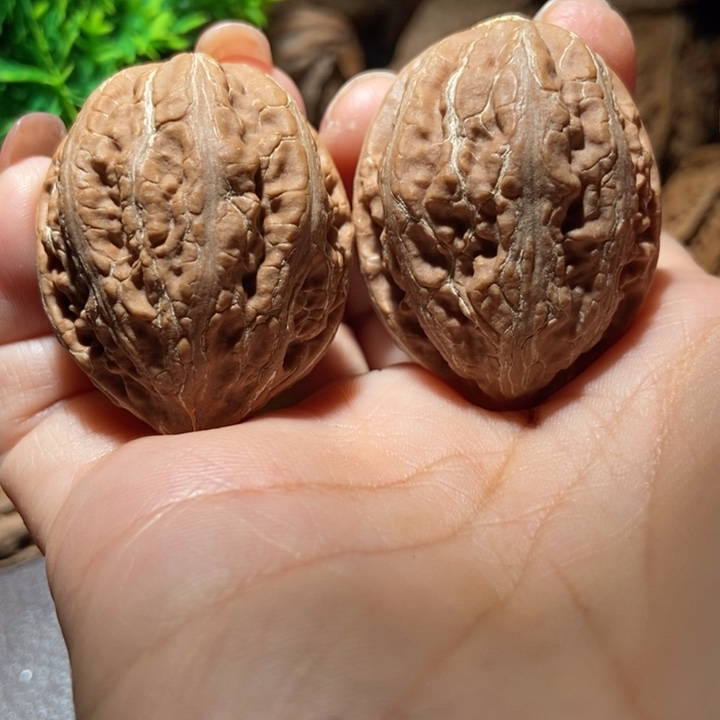 把件文玩核桃东北楸子小雪55